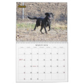 Das Labradors der vier Tatzen-Hundehütte Kalender (Mär 2026)