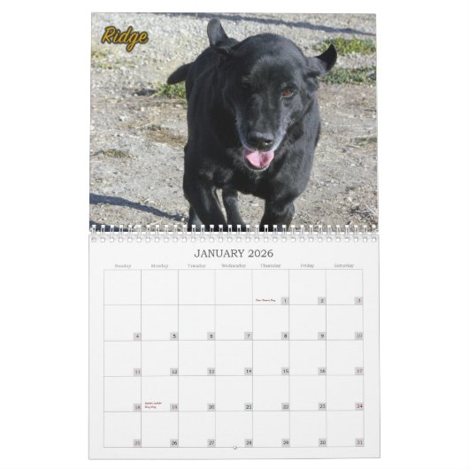 Das Labradors der vier Tatzen-Hundehütte Kalender (Jan 2026)