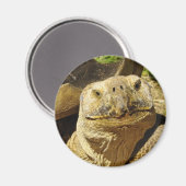 Das Lächeln der Schildkröte Magnet (Vorderseite/Rückseite)