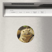 Das Lächeln der Schildkröte Magnet (In Situ (Geschirrspüler))