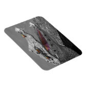 Das lächelnde Krokodil und die Fliegen Magnet (Rechte Seite)