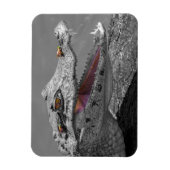 Das lächelnde Krokodil und die Fliegen Magnet (Vertikal)