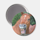 Das lachende Pferd Magnet (Vorderseite/Rückseite)