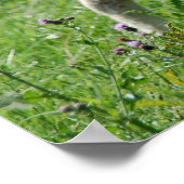 Das Lamm Poster (Ecke)