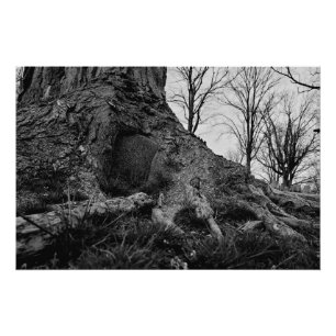 das Land zurücknimmt Poster