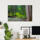 Das Landschaftliche Gebiet der Ross Creek Cedars Poster (Heimbüro)