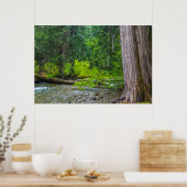 Das Landschaftliche Gebiet der Ross Creek Cedars Poster (Küche)