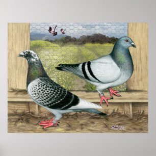 Das Laufen Homers im Dachboden Poster