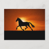 Das Laufpferd Postkarte (Vorderseite)