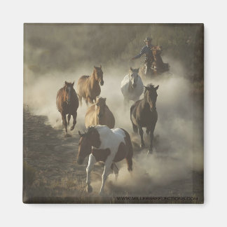 Das Laufwerksmagnet Magnet