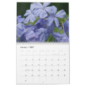 Das Leben als es blüht Kalender (Jan 2027)