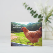 Das Leben bei Hühnern ist besser Postkarte (Stehend Vorderseite)