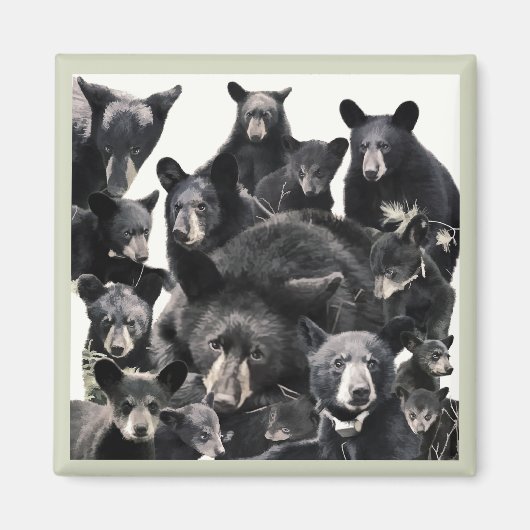 Das Leben der Hoffnung Magnet (Vorne)