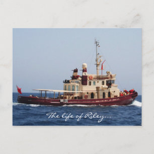 Das Leben der Postkarte von Riley