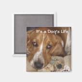 Das Leben des Hundes Magnet (Vorderseite/Rückseite)