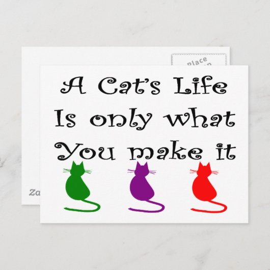 Das Leben einer Katze ist nur das, was du schaffst Postkarte (Vorne/Hinten)