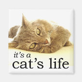 Das Leben einer Katze - Magnet (Vorne)
