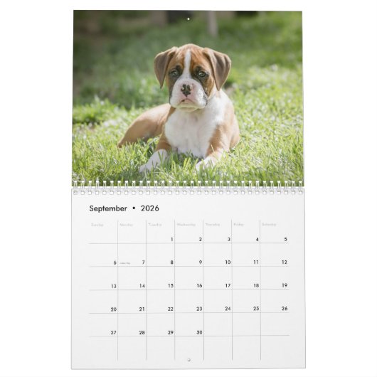 Das Leben eines Boxer-Hundes - niedliche Kalender (Sep 2026)