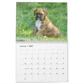 Das Leben eines Boxer-Hundes - niedliche Kalender (Jan 2027)