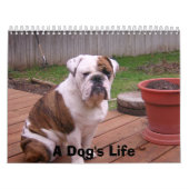 Das Leben eines Hundes Kalender (Titelbild)