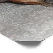 Das Leben eines Hundes Poster (Ecke)