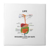 Das Leben erfordert Lose Eingeweide Fliese (Vorderseite)