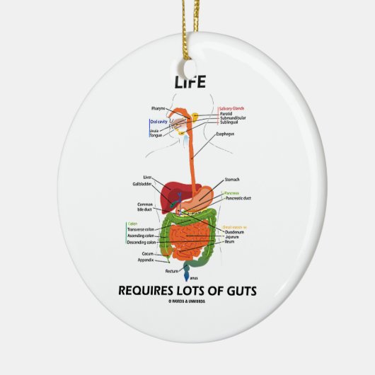 Das Leben erfordert Lose Eingeweide Keramik Ornament (Links)