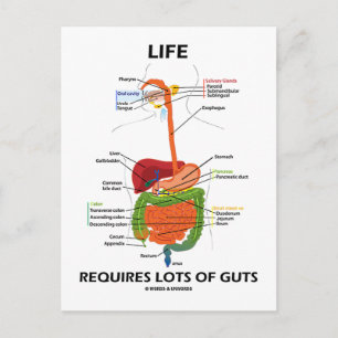 Das Leben erfordert viel Wut (Verdauungssystem) Postkarte