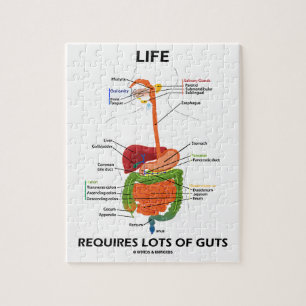 Das Leben erfordert viel Wut (Verdauungssystem) Puzzle