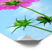 Das Leben erlangen Poster (Ecke)