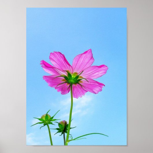 Das Leben erlangen Poster (Vorne)