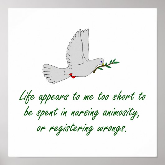 Das Leben erscheint mir zu Kurz - Anführungszeiche Poster (Vorne)