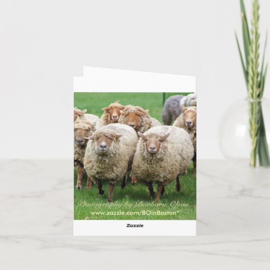 Das Leben geschieht! Karte (Rückseite)