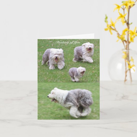 Das Leben geschieht! Karte (Gelbe Blume)