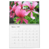 Das Leben im Garten Kalender (Feb 2027)