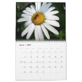 Das Leben im Garten Kalender (Mär 2027)