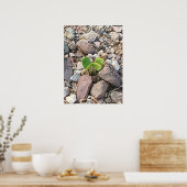 Das Leben im Rock-Foto Poster (Küche)