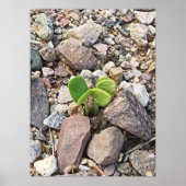 Das Leben im Rock-Foto Poster (Vorne)