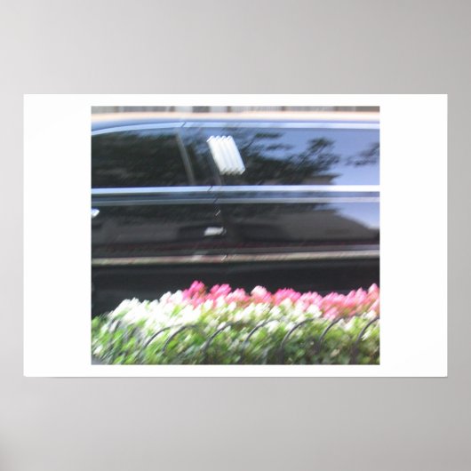 Das Leben im schnellen Lauf Poster (Vorne)