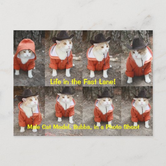 Das Leben in der Flucht! Postkarte (Vorderseite)