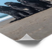 Das Leben ist besser bei Jungfüßerhunden am Strand Poster (Ecke)