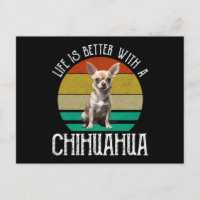 Das Leben ist besser mit Chihuahua