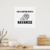 Das Leben ist besser mit einem Havanese Poster (Küche)