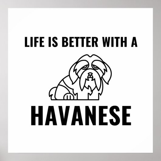 Das Leben ist besser mit einem Havanese Poster (Vorne)