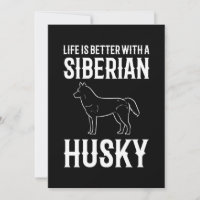 Das Leben ist besser mit einem sibirischen Husky-H
