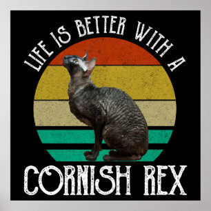 Das Leben ist besser mit einer Cornish Rex Poster