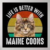 Das Leben ist besser mit Maincoons Poster (Vorne)