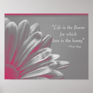 Das Leben ist die Blume - Pink Daisy Poster