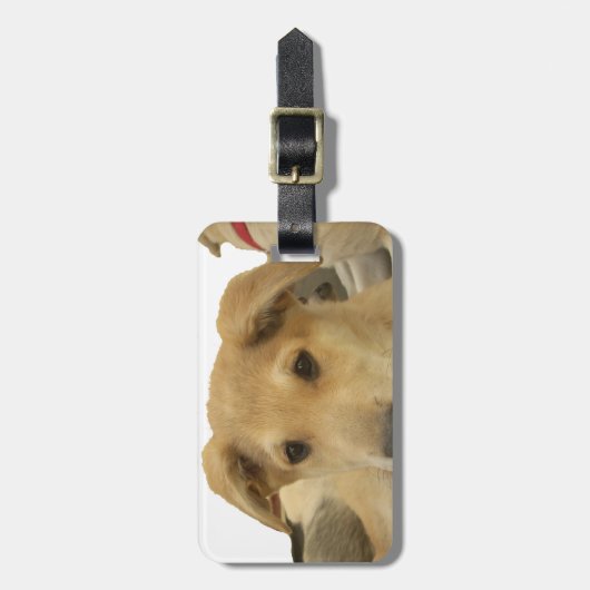 "Das Leben ist die gründlichste Schule" Hundekunst Gepäckanhänger (Vorderseite vertikal)