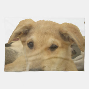 "Das Leben ist die gründlichste Schule" Hundekunst Handtuch